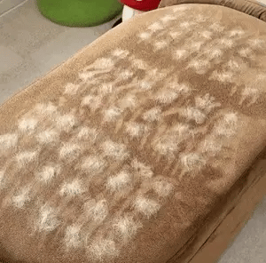 FellHaus™ - 1 KAUFEN + 1 GRATIS